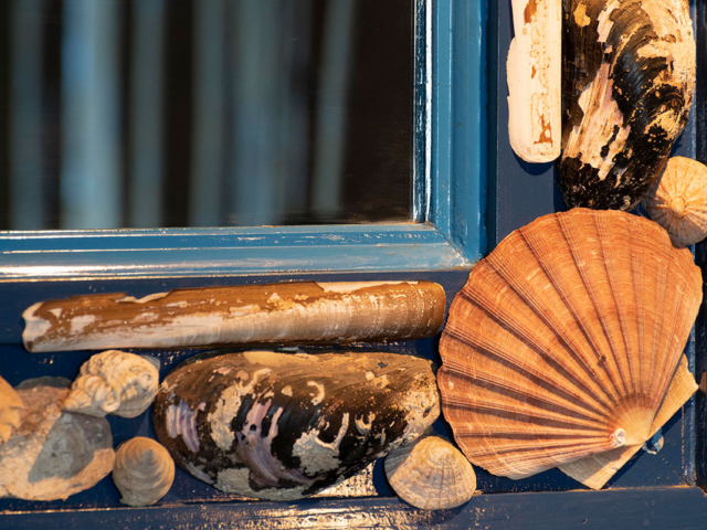 CH---cabin-interior-7309