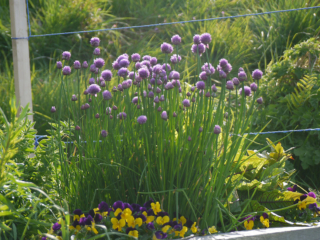 gallery-landscape_0000_P1490148