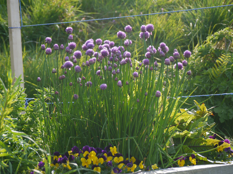 gallery-landscape_0000_P1490148