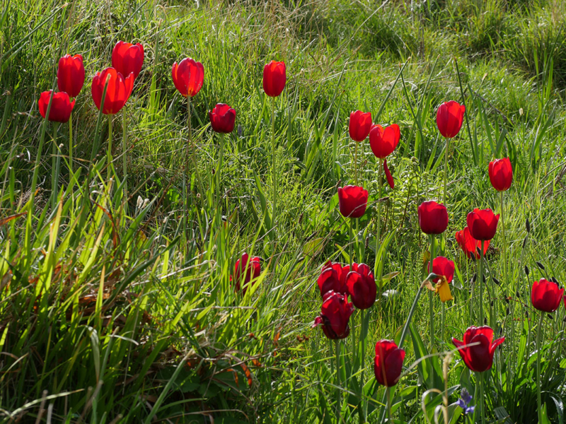 gallery-landscape_0001_P1280698