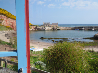 gallery-landscape_0004_P1100136