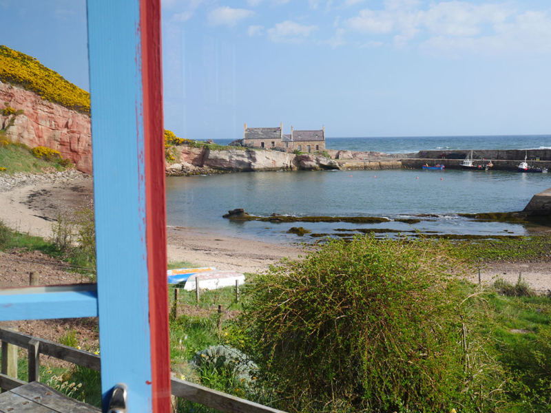 gallery-landscape_0004_P1100136